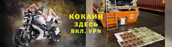 сатива Осинники