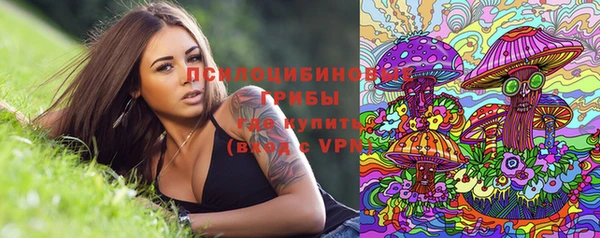 сатива Осинники