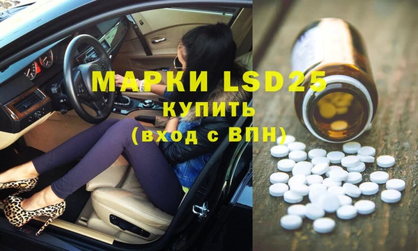 сатива Осинники
