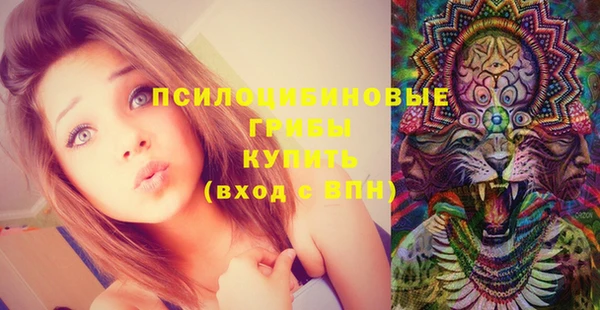 шишки Остров
