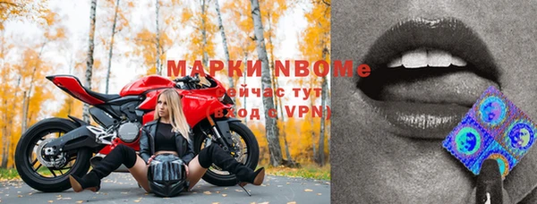 сатива Осинники