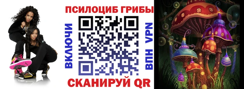сколько стоит  Хотьково  Псилоцибиновые грибы Psilocybine cubensis 